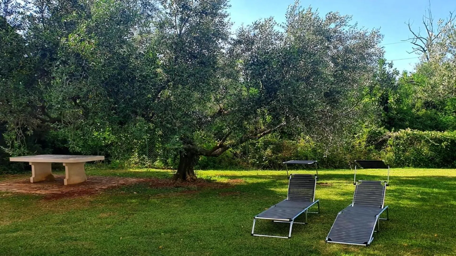 Apartment Renovierte Wohnung In Zambratija Mit Grossem Garten Umag